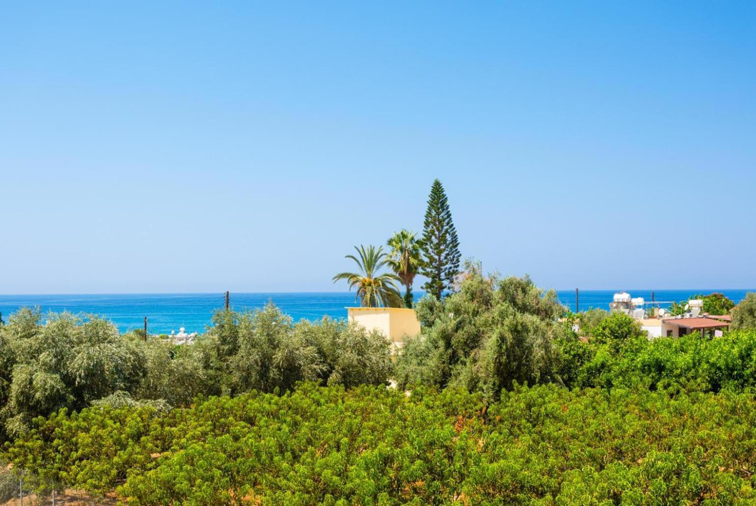 Villa Olivetta Kato Yialia Dış mekan fotoğraf