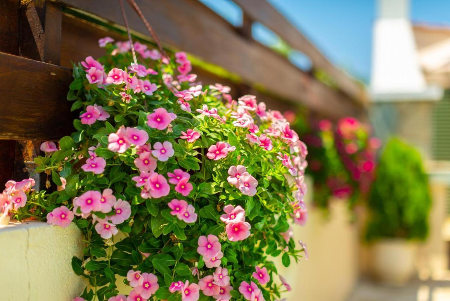 Villa Olivetta Kato Yialia Dış mekan fotoğraf