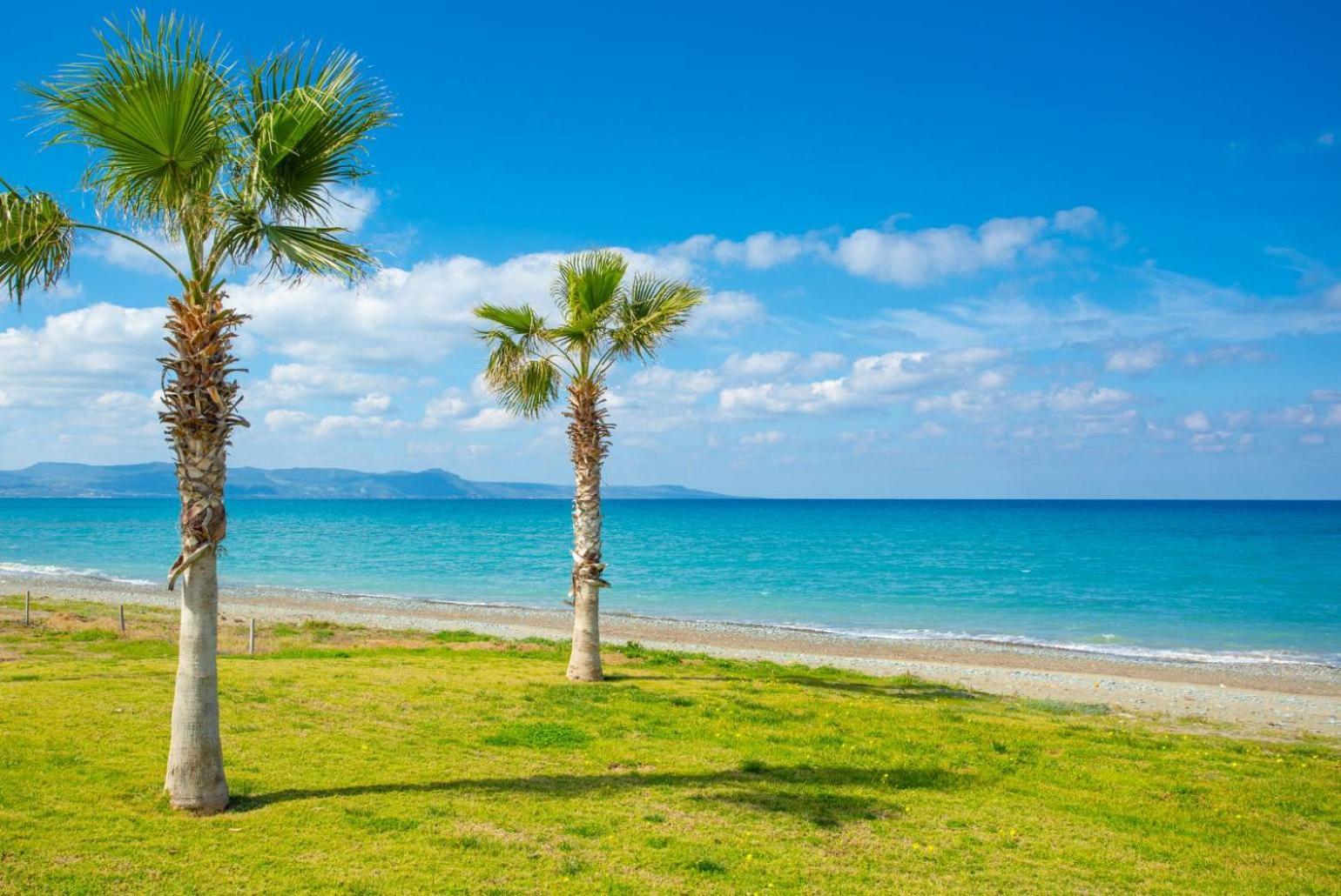 Villa Olivetta Kato Yialia Dış mekan fotoğraf